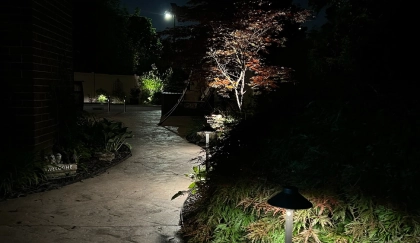 Garden edge pathway lighting framing landscaped garden border at a Toronto residential property — BD Lights