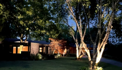 Tree uplighting and landscape spot lighting on mature trees at a Toronto residential property — BD Lights